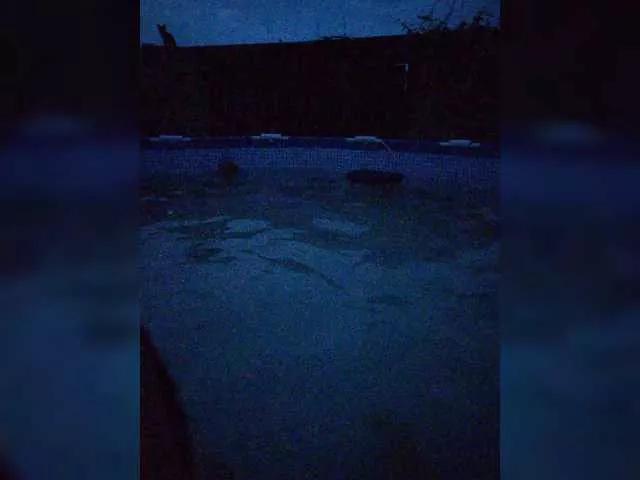 Jenne-Noel on BongaCams 