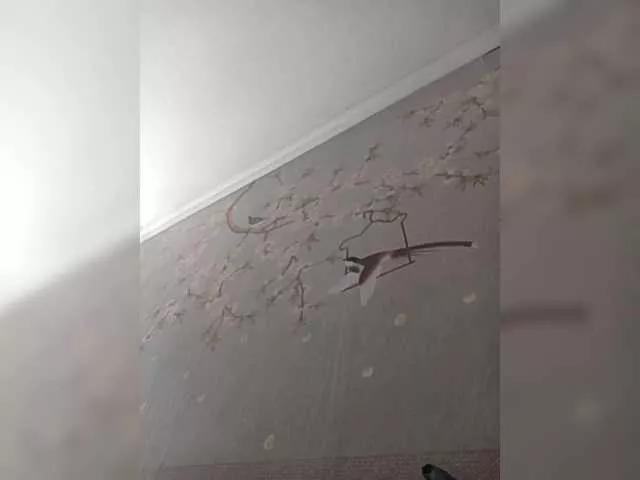 SashaZ1 on BongaCams 