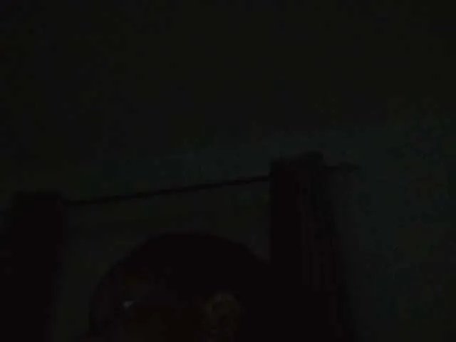 sexxybunny on BongaCams 