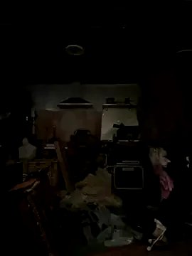 nolimitBackdoorman on StripChat