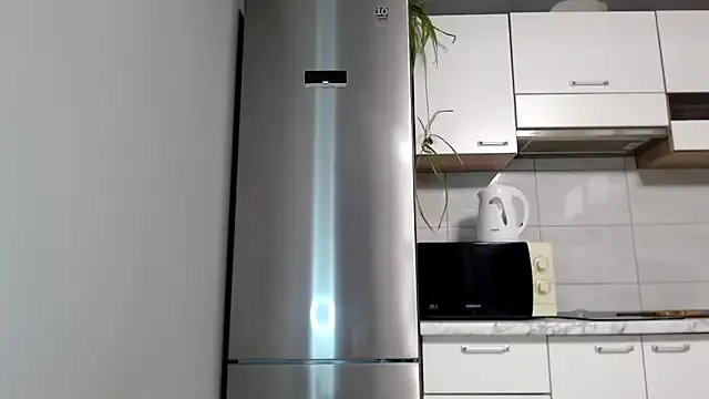 SierraSky_ — take off panties + show pussy