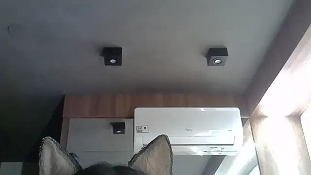 SkinnyKitten — stand uplevantar