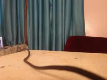 xoxo_savage from Chaturbate
