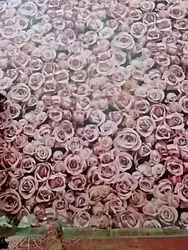 annaya_sweet from StripChat