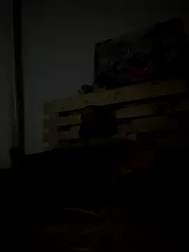 BigBoyXXL35 from StripChat
