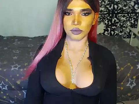 terra_HORSECOCK from StripChat