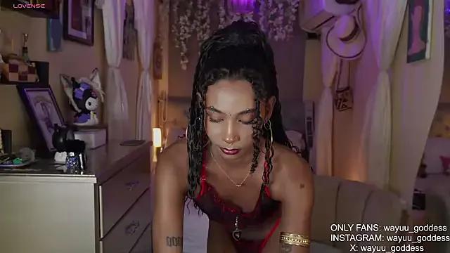 wayuu-goddess from StripChat is Freechat